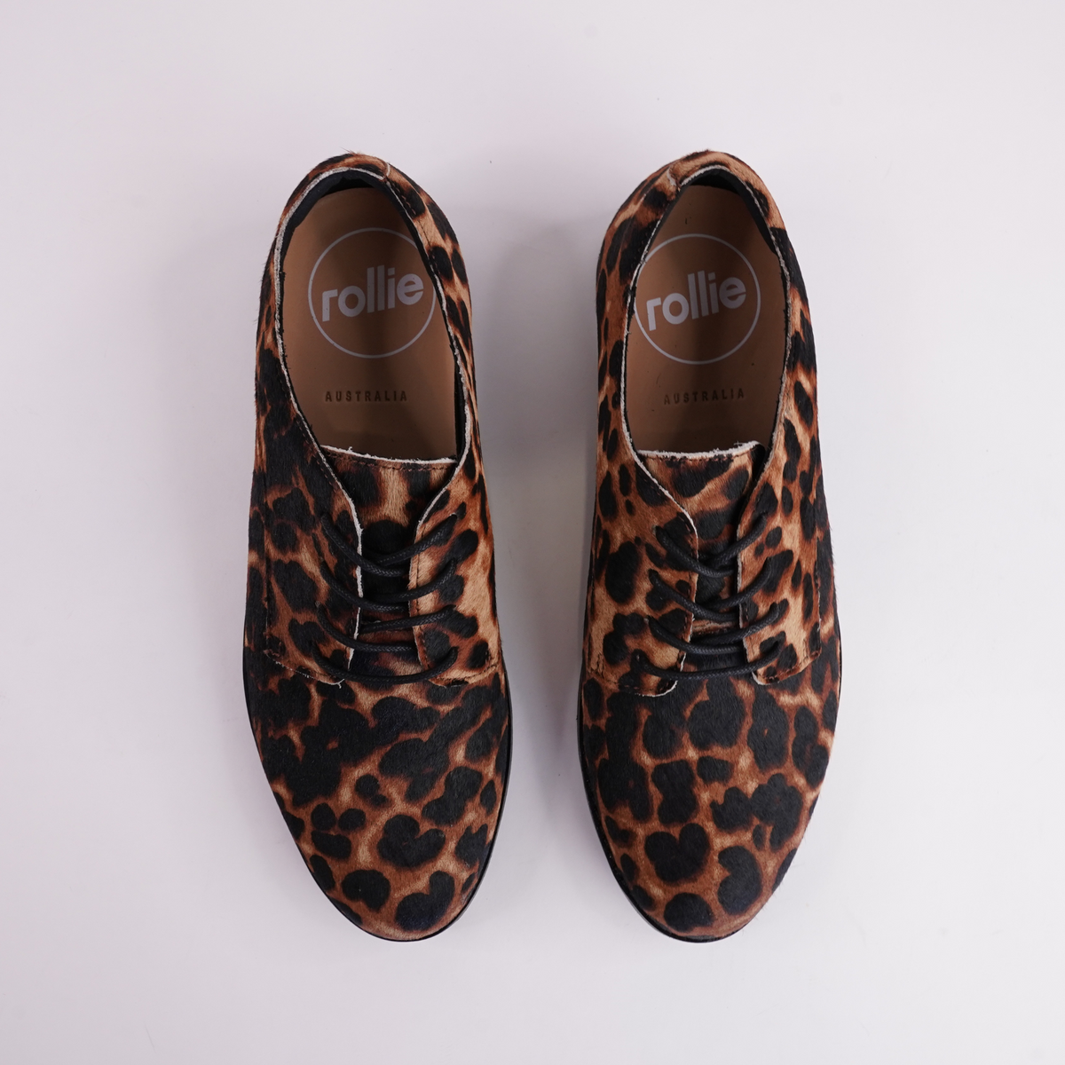 Derby Dark Camel Leopard/black Lace Up Flats - ROLLIE | Shouz