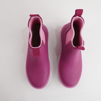 Splashy Plum/ Blossom Gumboots