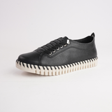 Sonia Black Leather Sneakers