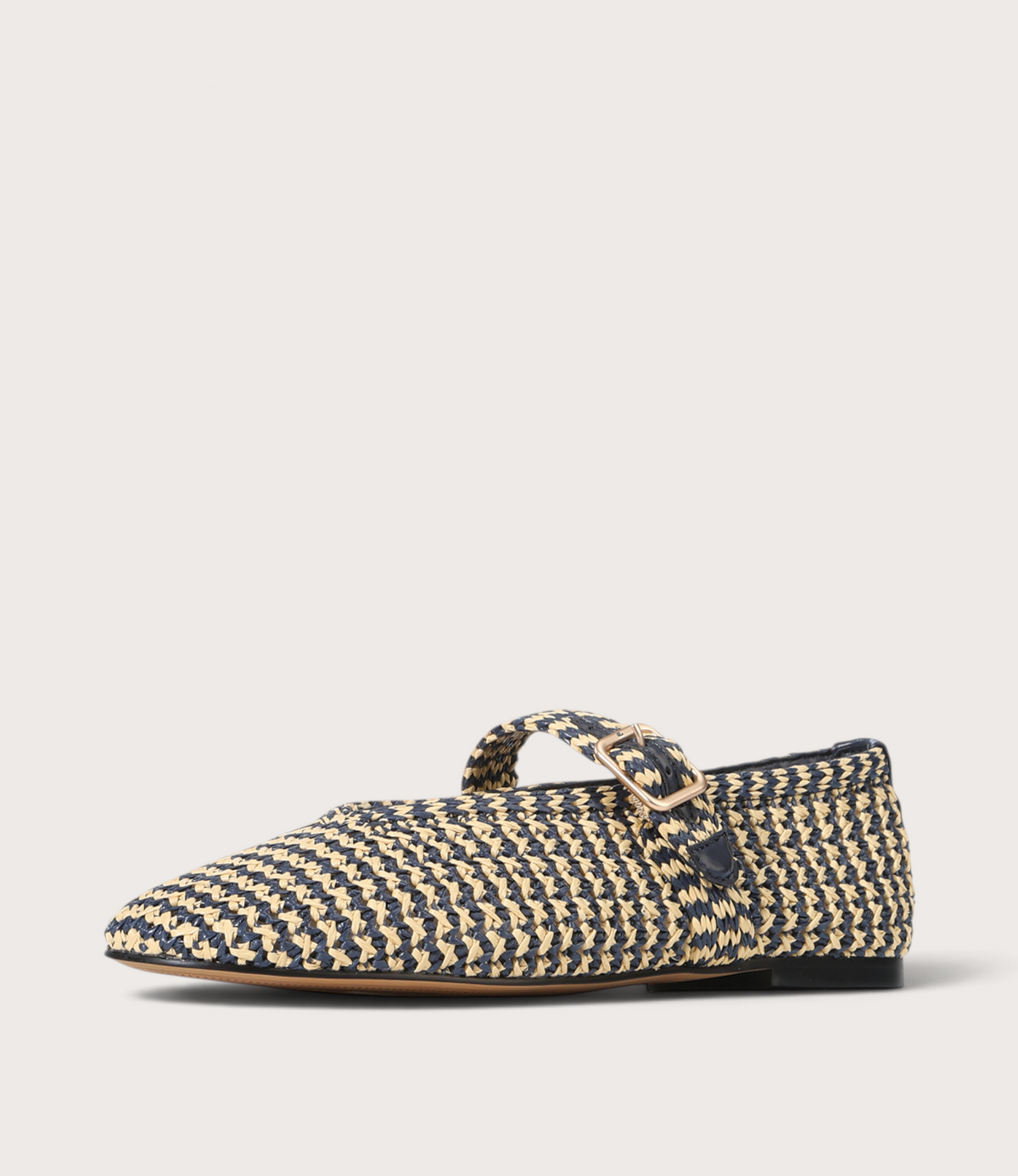 Santalum Navy Ballet Flats