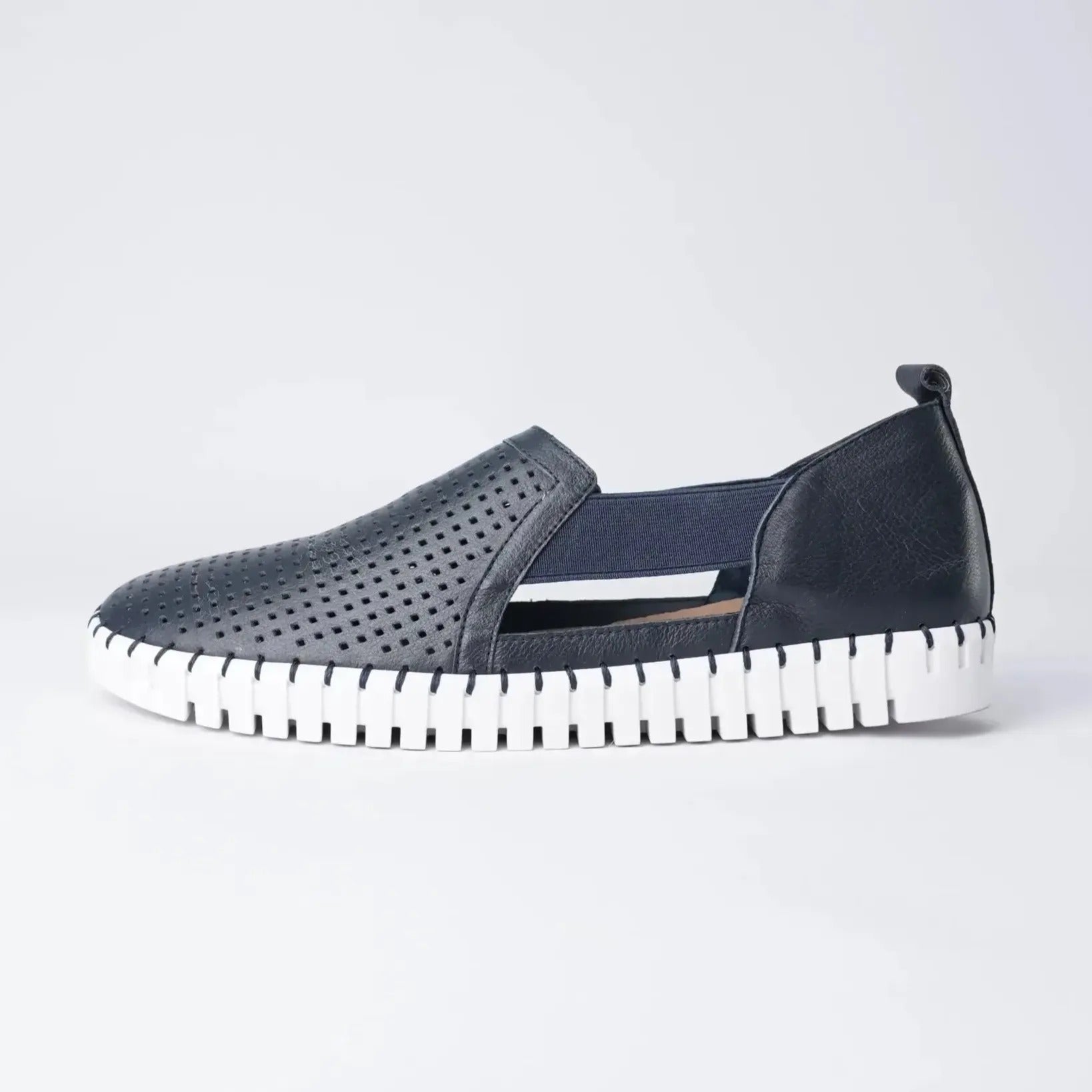 Habiki Navy/ White Leather Sneakers, DJANGO & JULIETTE - Shouz