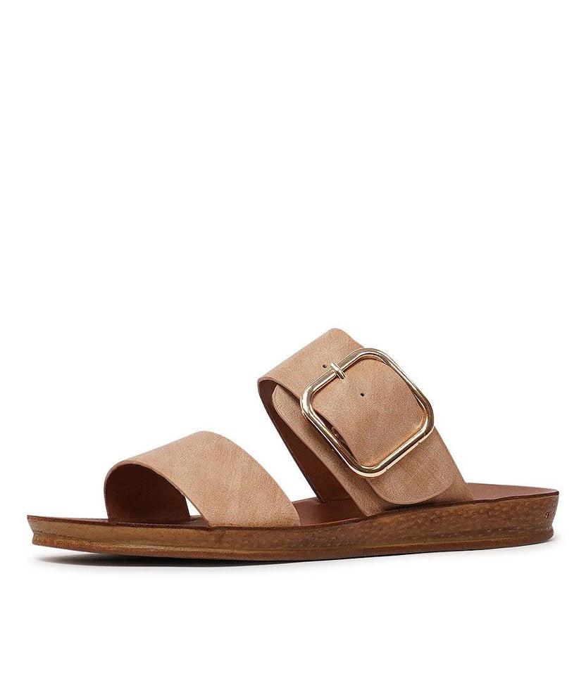 Camel Slides