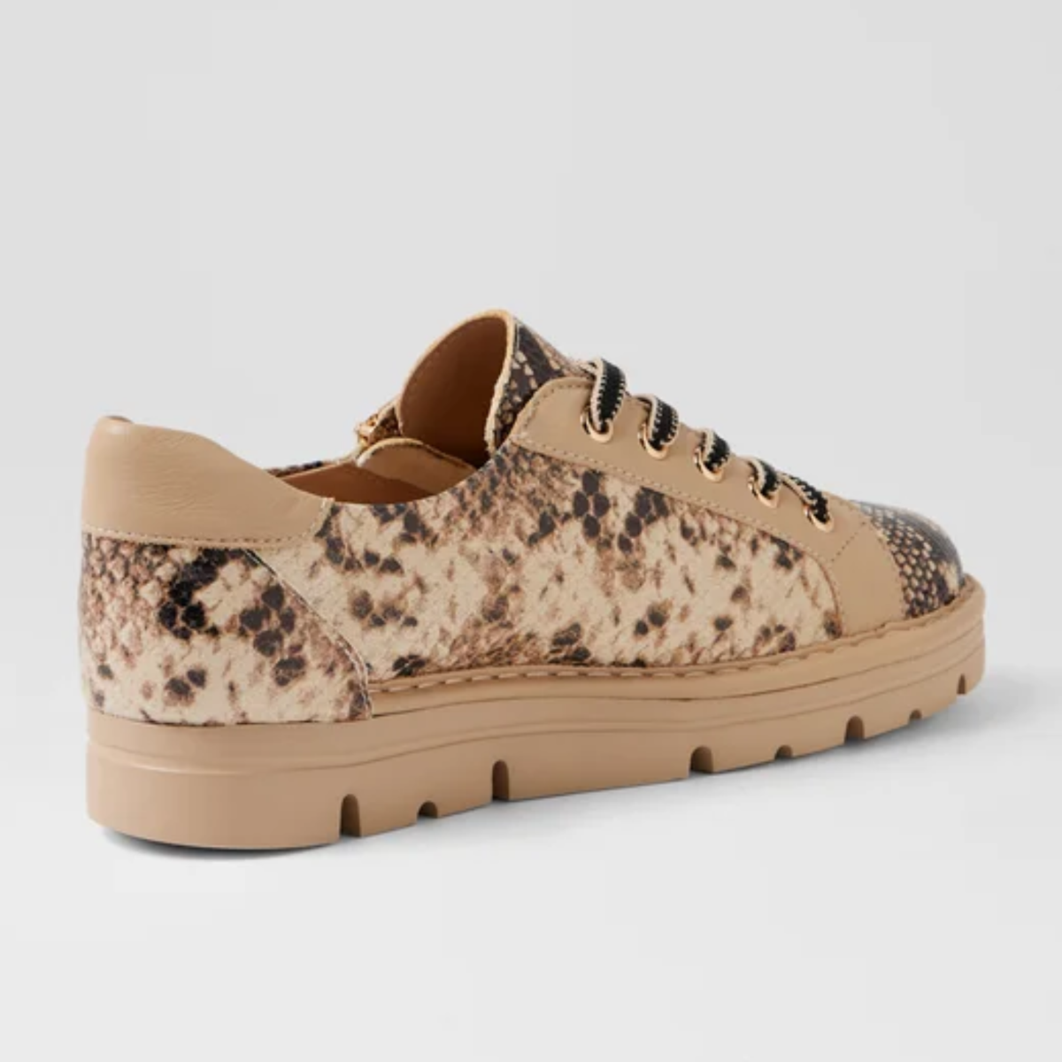 Elos Black and Caramel Snake/ Caramel Leather Sneakers - TOP END | Shouz