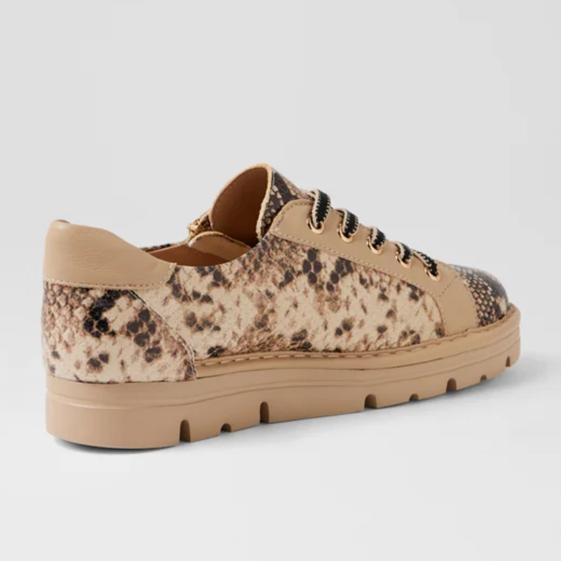 Elos Black and Caramel Snake/ Caramel Leather Sneakers - TOP END | Shouz