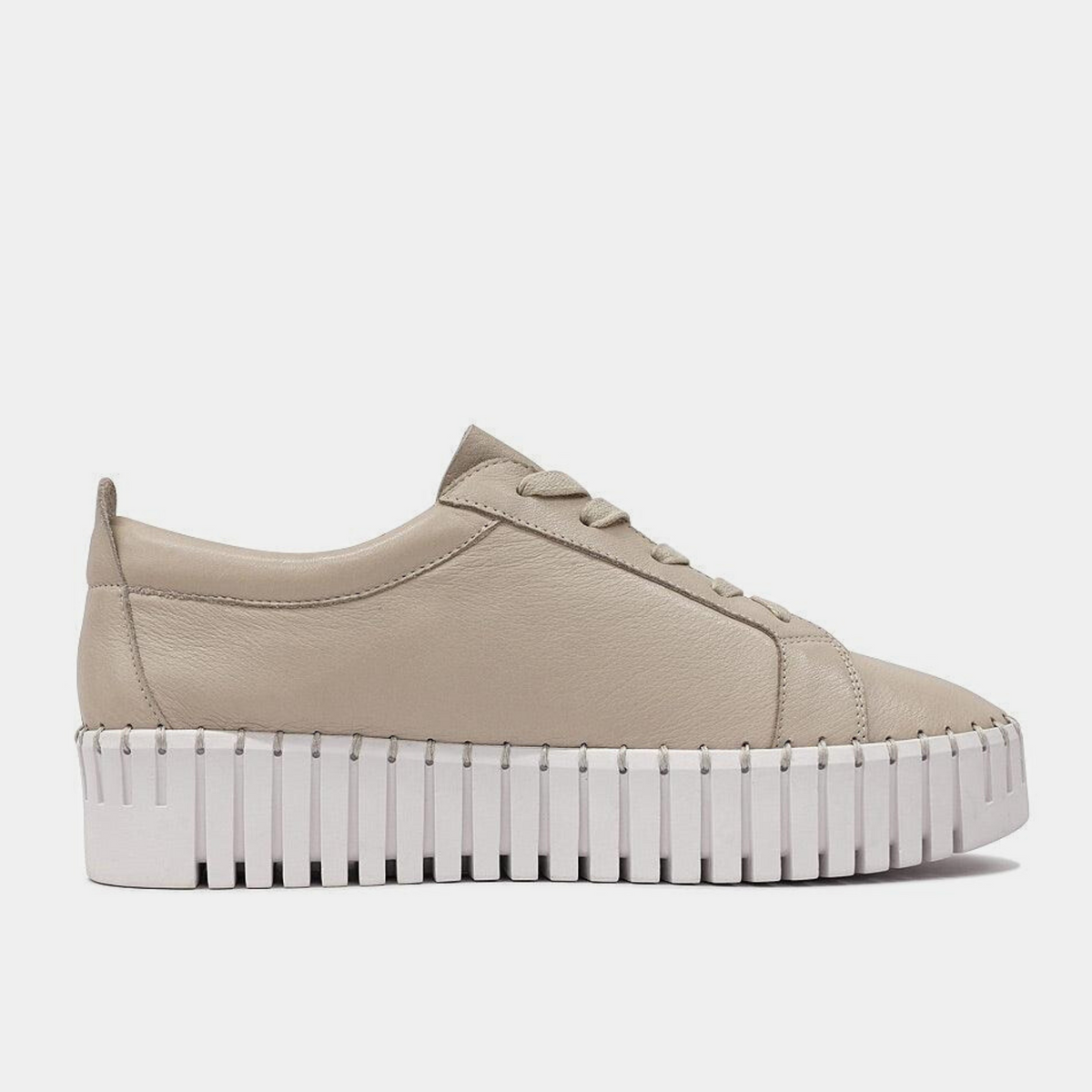 Bump Macadamia Leather Sneakers - Shouz