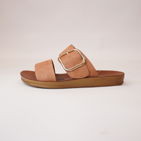 Doti Brandy Slides