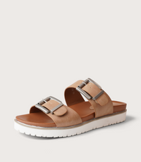 Carter Camel Slides