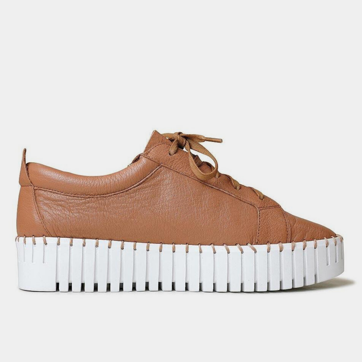 Bump Scotch Leather Sneakers - DJANGO AND JULIETTE | Shouz