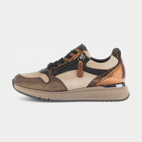 Lunith Multi Sneakers - GABOR | Shouz