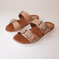 Carter Camel Slides