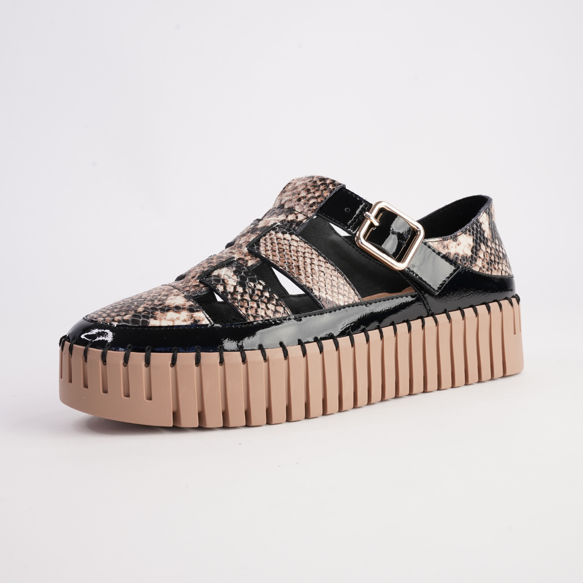 Baytown Black Patent/ Black Snake Caramel Sneakers - DJANGO AND JULIETTE | Shouz