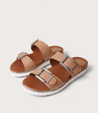 Carter Camel Slides