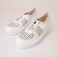 Js-4423 White/ Multi Leather Sneakers