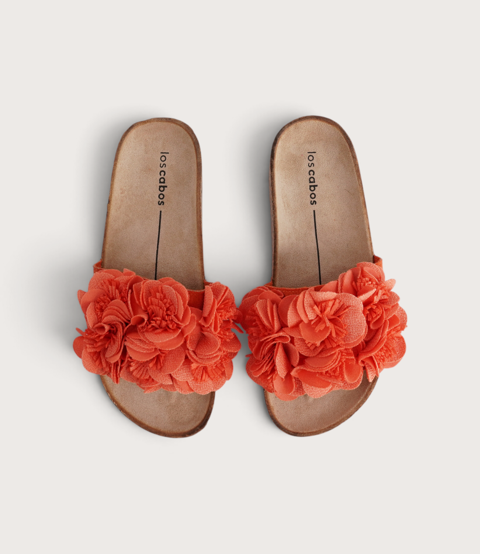 Corsage Tango Slides