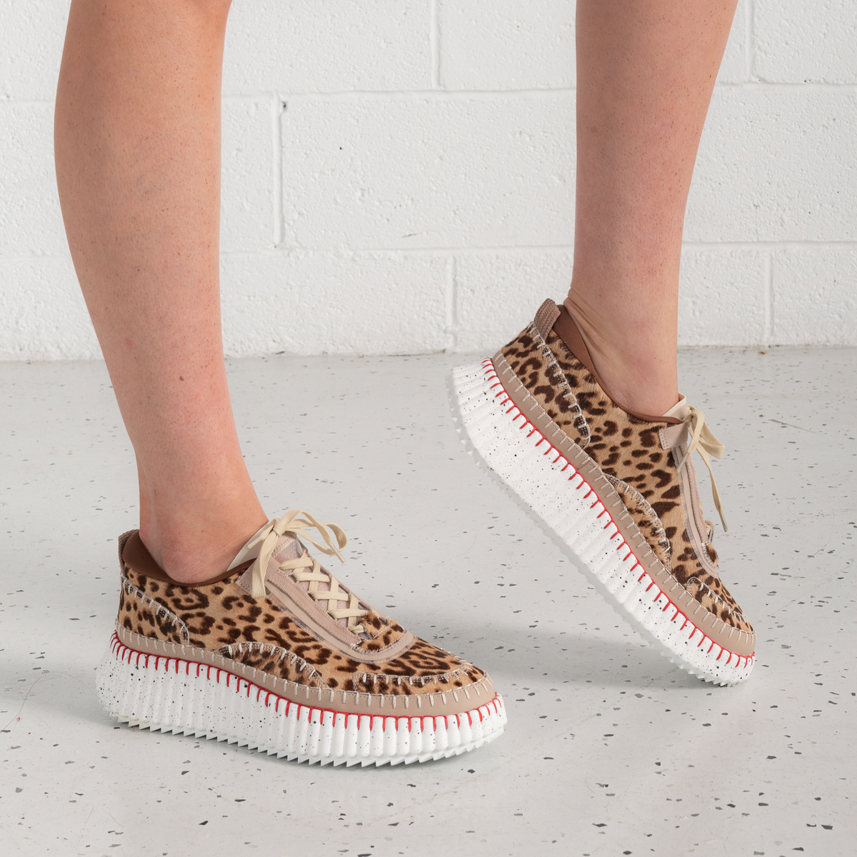 Copen Leopard Multi Sneakers