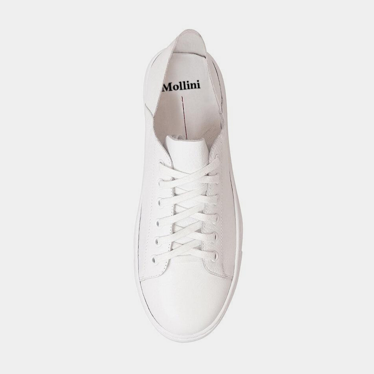 Oskher White Leather Sneakers - MOLLINI | Shouz
