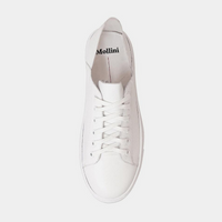 Oskher White Leather Sneakers