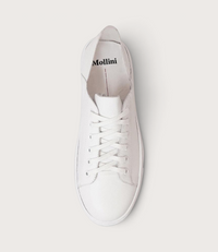 Oskher White Leather Sneakers