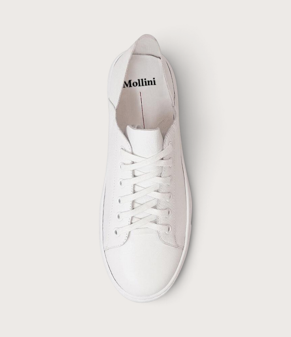Oskher White Leather Sneakers