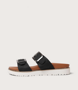 Carter Black Slides