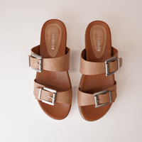 Carter Camel Slides