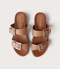 Carter Camel Slides