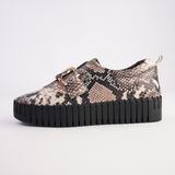 Breeza Black Caramel Snake Leather/ Black Sole Sneakers - DJANGO AND JULIETTE | Shouz