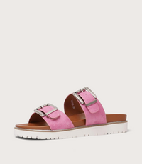 Carter Pink Slides
