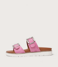 Carter Pink Slides