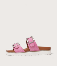 Carter Pink Slides