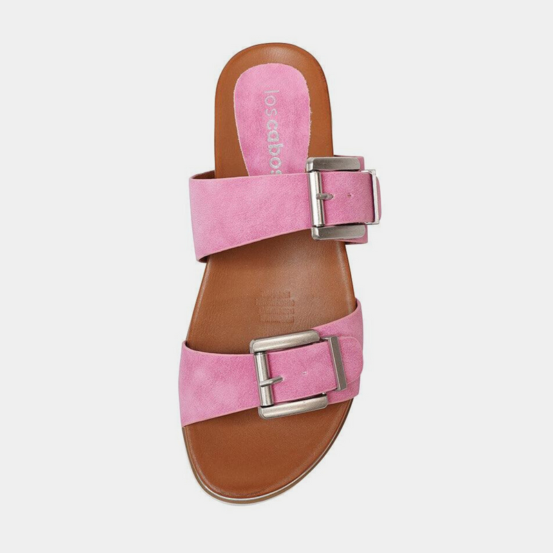 Carter Pink Slides