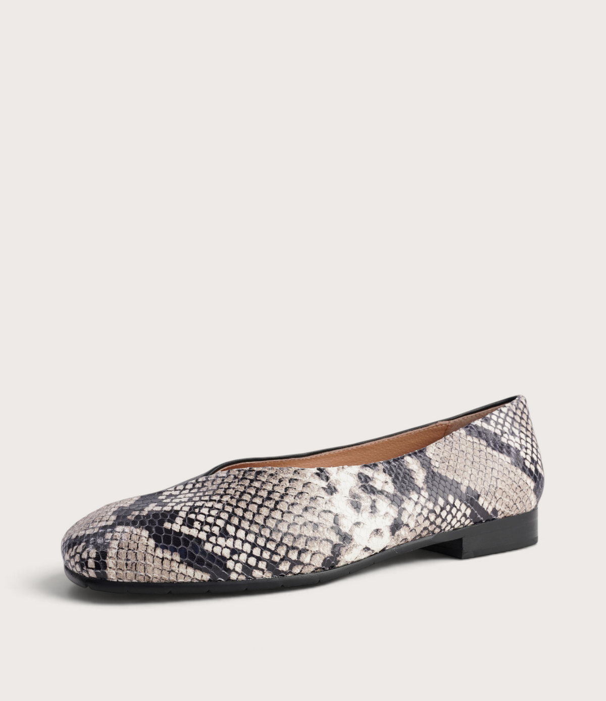 Paydes Black White Snake/ Black Leather Flats