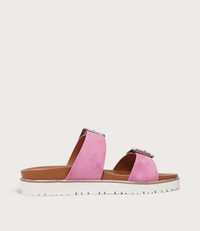 Carter Pink Slides