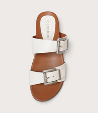 Carter White Slides