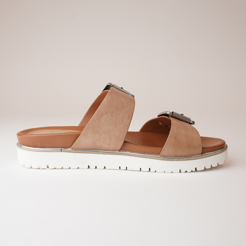 Carter Camel Slides