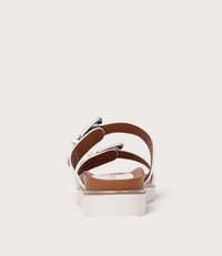 Carter White Slides