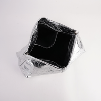 Aevie Metallic Crinkle Patent Leather Clutch