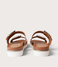 Carter Camel Slides