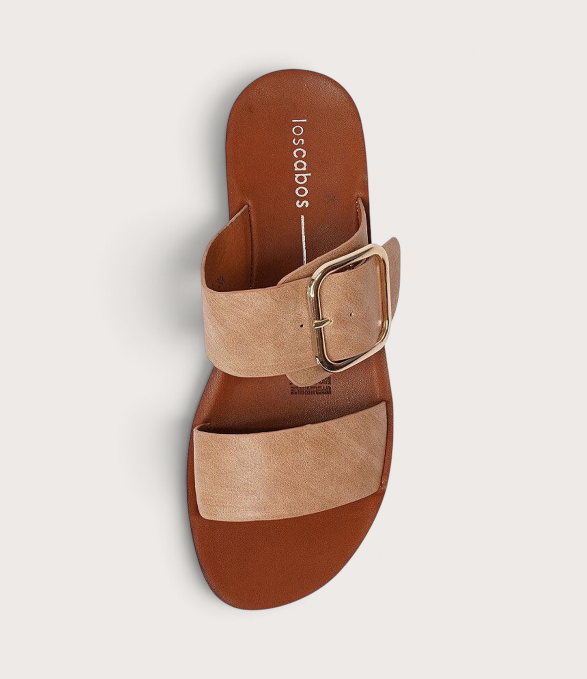 Doti Camel Slides