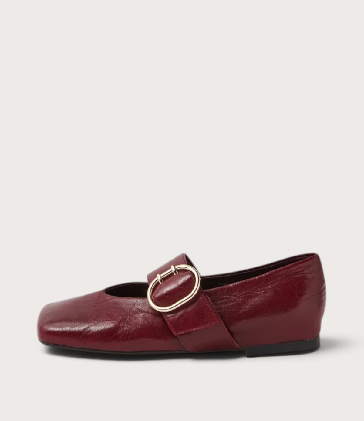 Ankitah Pinot Leather Flats