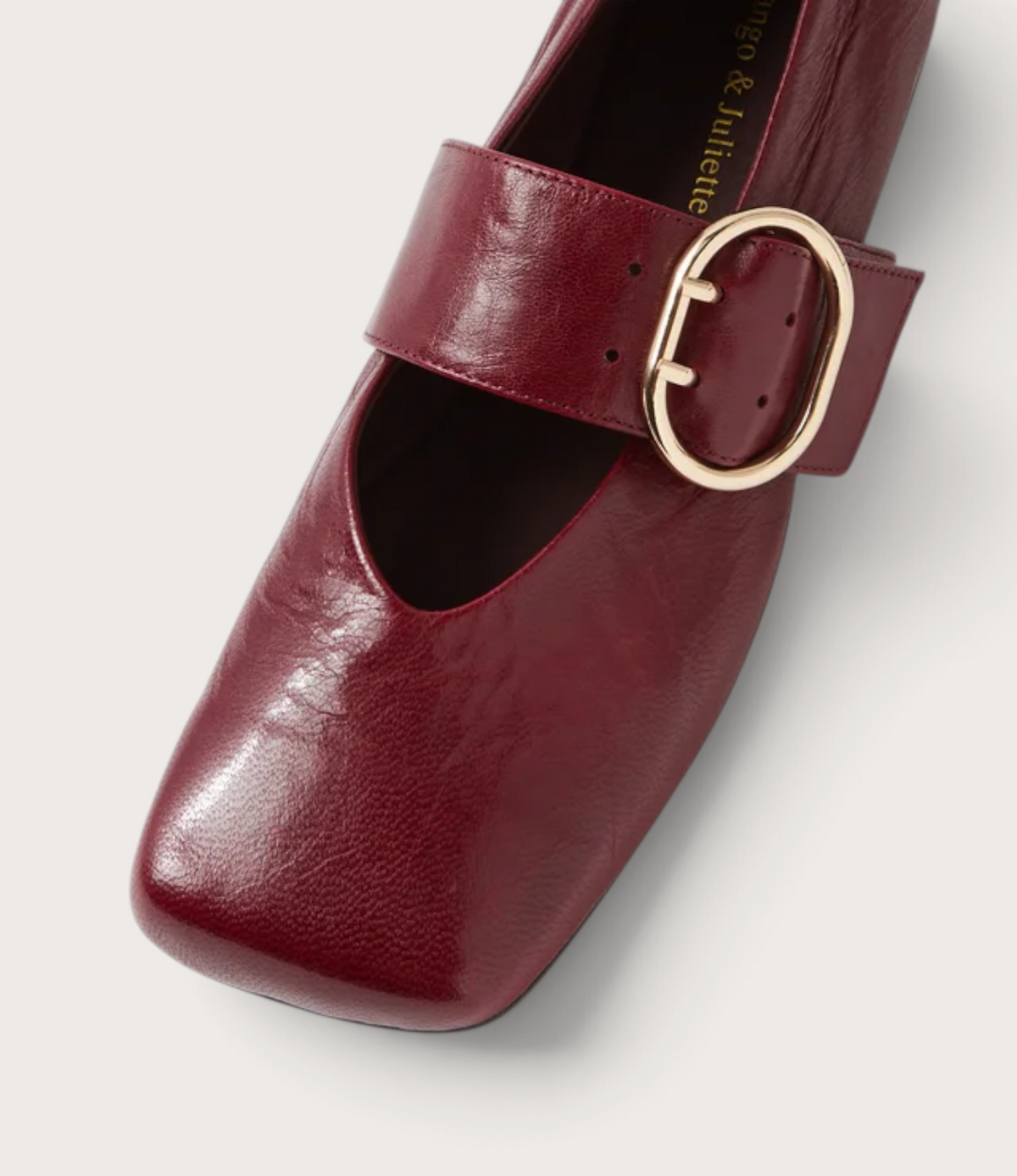 Ankitah Pinot Leather Flats