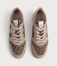 Arleen 02 Leopard Multi Sneakers