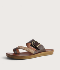 Bria Mocha Slides