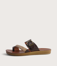 Bria Mocha Slides