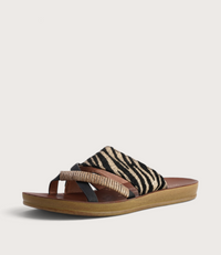 Bride Zebra Slides