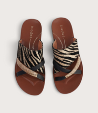 Bride Zebra Slides